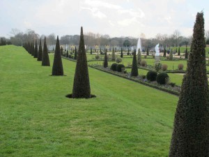 Eine Spitzen-Parade der Eiben im Garten von Hampton Court Palace