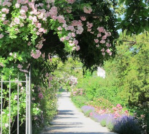 SCHWEIZ Die Kartause Ittingen Der spirituelle Garten