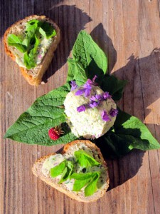 Brotzeit mit frischen Kräutern