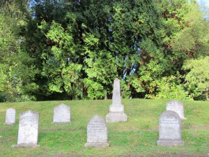 Tierfriedhof mit Gäbern von Hunden, Pferden und Kühen