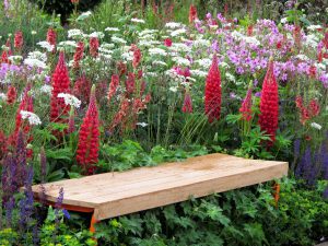 schlichte Holzbank ohne Lehne in farbenfrohen Blütenbeet