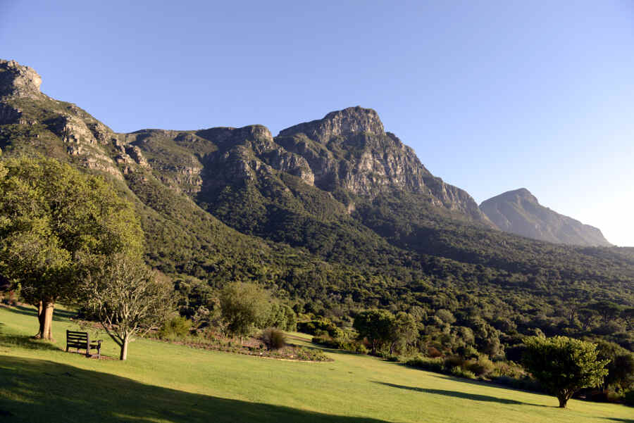 Der Botanische Garten Kirstenbosch liegt direkt am Fuße des Tafelbergs in Kapstadt.