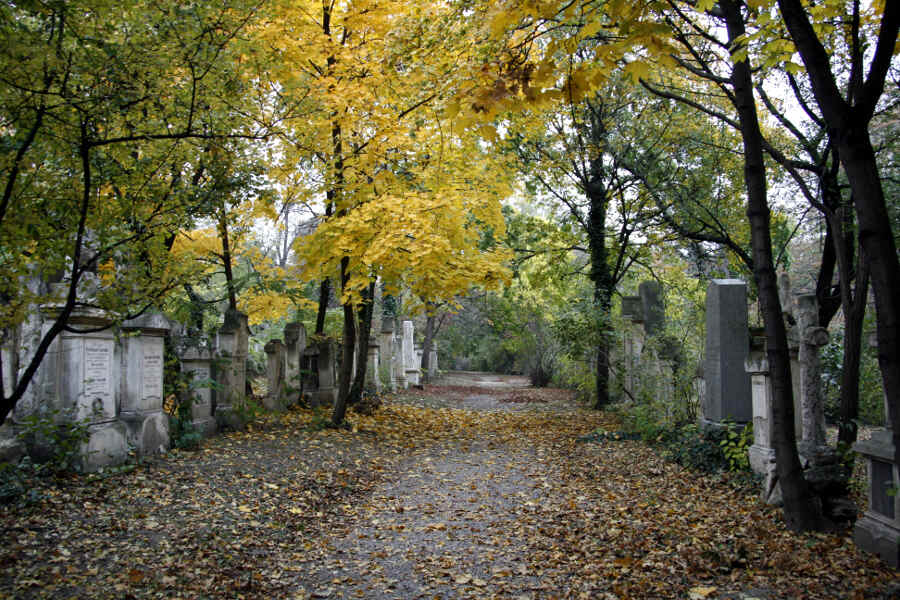 Foto eines Weges auf einem Wiener Friedhof