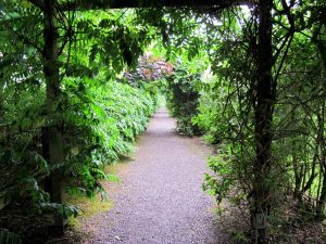 Ein Weg durch Glenview Gardens in Cork