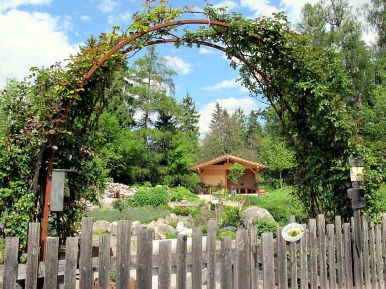 TIROL Hildegard von Bingen Kräutergarten vonREISENundGAERTEN