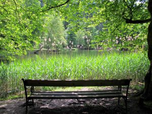 Foto von Parkbank von hinten mit Blick auf einen See