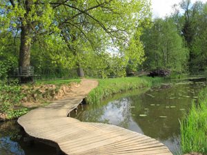 Foto eines Holzstegs