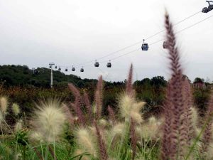 Foto der Seilbahn auf der IGA 2017