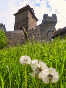 Gärten in Rothenburg ob der Tauber