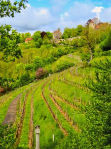 Gärten in Rothenburg ob der Tauber