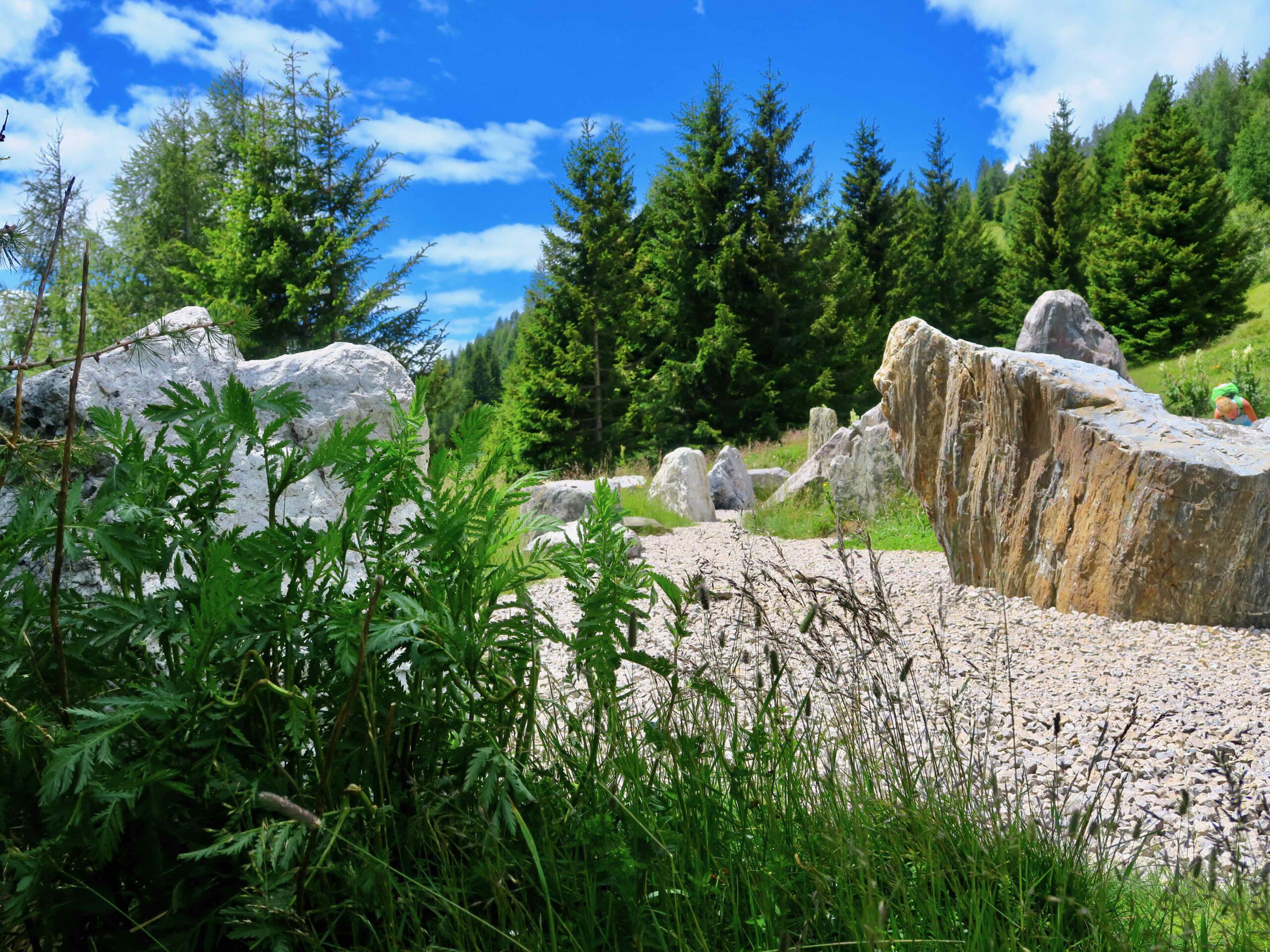 Der Steingarten auf der Gerlitzer Alpe ©DDAVID