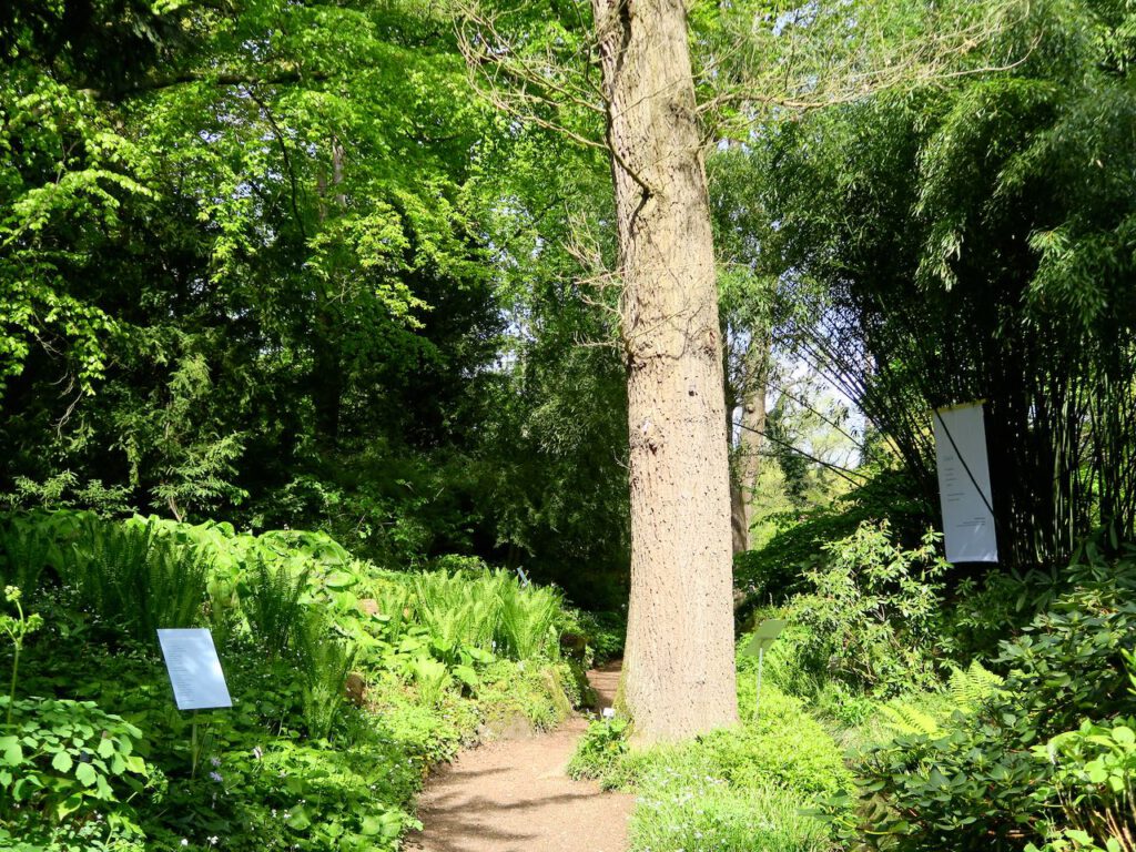 Botanischer Garten in München - Münchens Flower Power