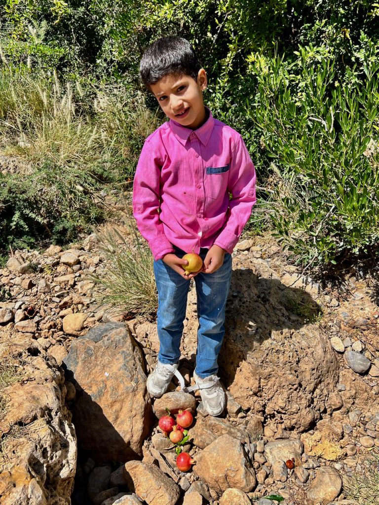 Junge mit Granatäpfel