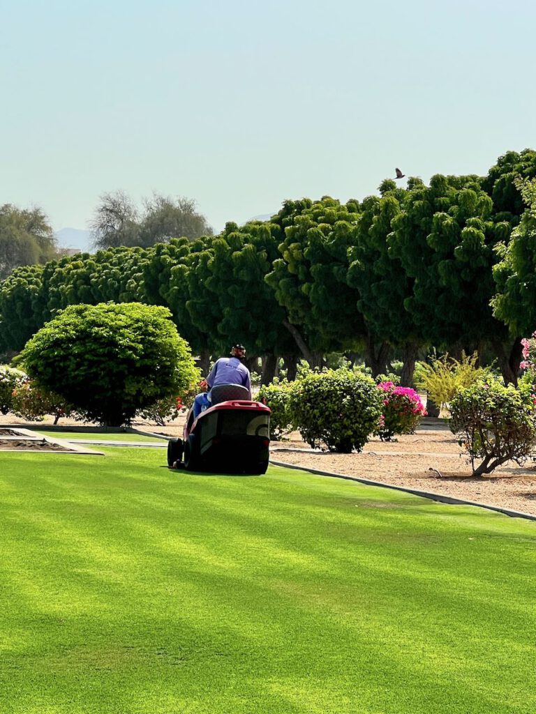 Rasenmäher im Moscheegarten